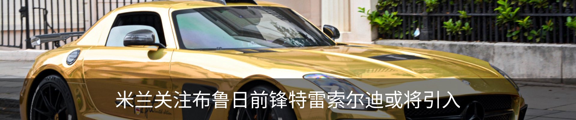 最新动态